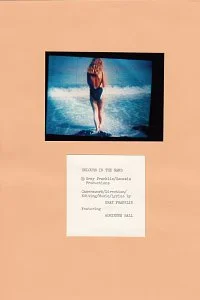 colours-in-the-sand — page 10