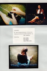 deterrent — page 17